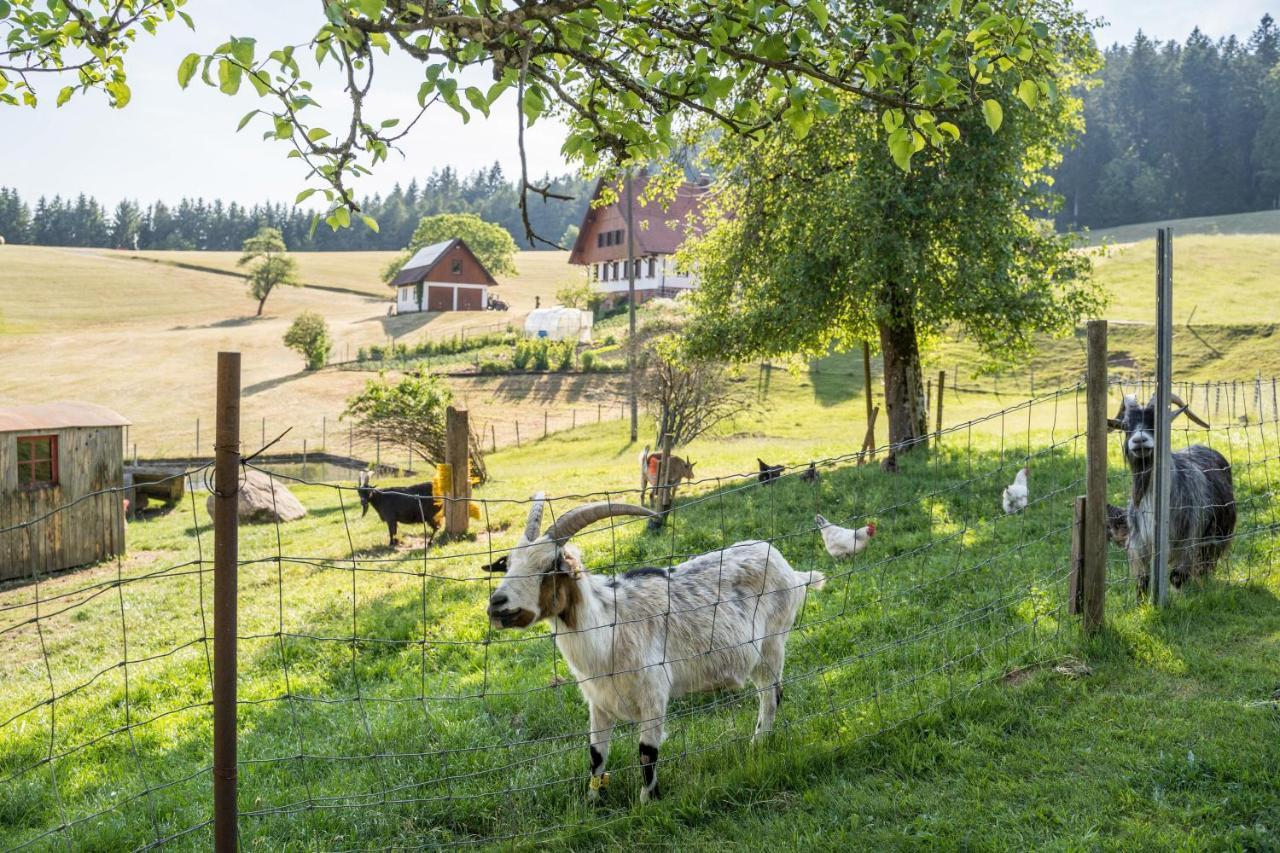 Klausenhansenhof Wolfach Exterior foto